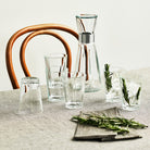 Rosendahl 25043 Grand Cru Water Carafe in Clear
