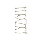 P&Bhusri S5-M-PWG-SC Provence Towel Warmer in PVD Polished White Gold