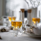 Rosendahl 25357 Grand Cru Shot Glass in Clear