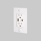 Buster + Punch - 1G Combination Duplex Outlet and USB - A + C Charger - NSK-143413 | The Rug District