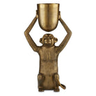 Currey and Company - Abu Planter - 1200-0645 | The Rug District