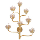 Currey and Company - Agave Wall Sconce - 5000-0058 | The Rug District
