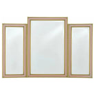 Currey and Company - Arden Pink Vanity Mirror - 1000-0024 | The Rug District