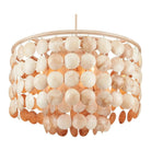 Currey and Company - Buko Chandelier - 9000-0849 | The Rug District