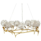 Currey and Company - Dandelion Chandelier - 9000-1080 | The Rug District