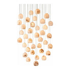 Currey and Company - Lazio 36-Light Multi-Drop Pendant - 9000-0901 | The Rug District