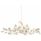 Currey and Company - Lunaria Oval Chandelier - 9000-0816 | The Rug District