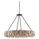 Currey and Company - Oyster Chandelier - 9672 | The Rug District