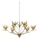 Currey and Company - Paradiso Chandelier - 9000-0973 | The Rug District
