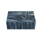 Currey and Company 1200-1067 Winter Harvest Box in Blue
