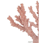 Currey and Company 1200-1083 Fire Coral in Coral/Clear