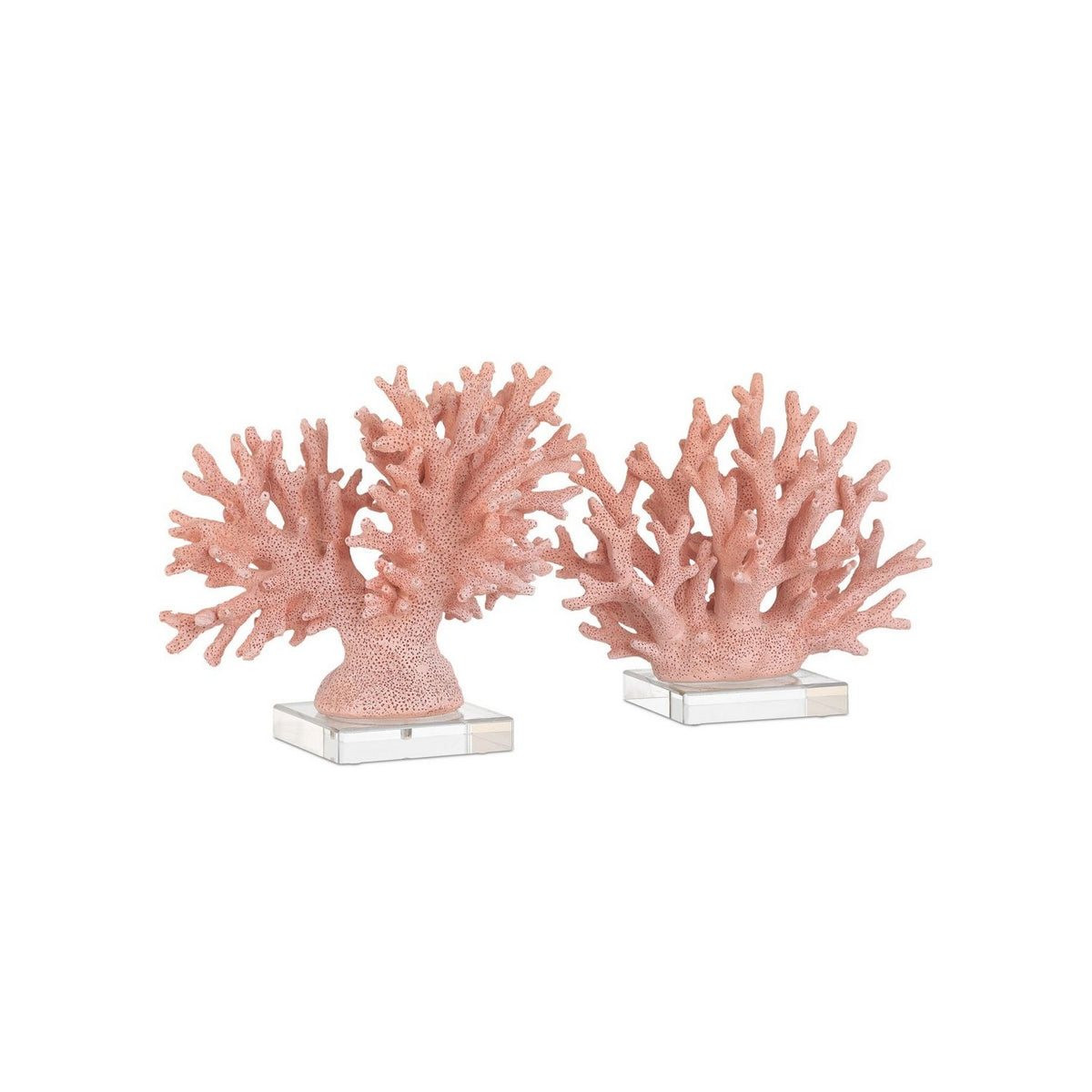 Currey and Company 1200-1083 Fire Coral in Coral/Clear