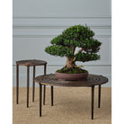 Currey and Company 4000-0256 Unity Accent Table in Antique Bronze/Dark Bronze
