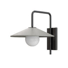 Currey and Company 5500-0058 Bothy Outdoor Wall Sconce in Natural/Black/Frosted White