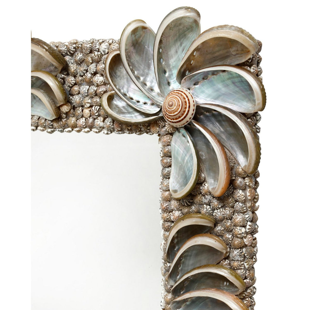 Currey and Company 1000-0175 Halcyon Mirror in Natural/Silver
