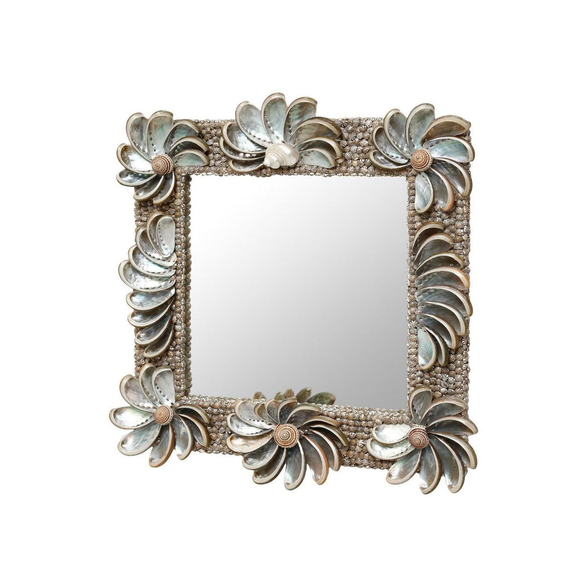 Currey and Company 1000-0175 Halcyon Mirror in Natural/Silver
