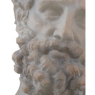 Currey and Company 1200-1084 Hercules Head on Metal Stand in Antique Off-White/Black