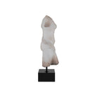 Currey and Company 1200-1086 Cyprus Torso on Metal Stand in Antique Off-White/Black