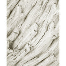 Currey and Company 1200-1109 Seadrift Vase in White