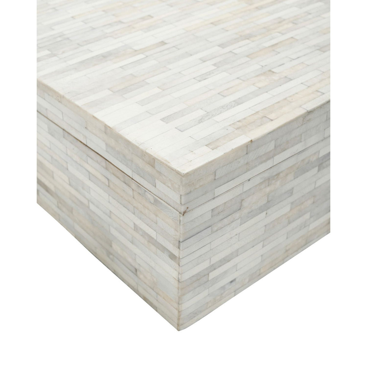 Currey and Company 1200-1131 Prothero Box in Natural