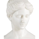 Currey and Company 1200-1165 Thea Marble Bust Sculpture in White/Yellow/Black