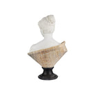 Currey and Company 1200-1165 Thea Marble Bust Sculpture in White/Yellow/Black