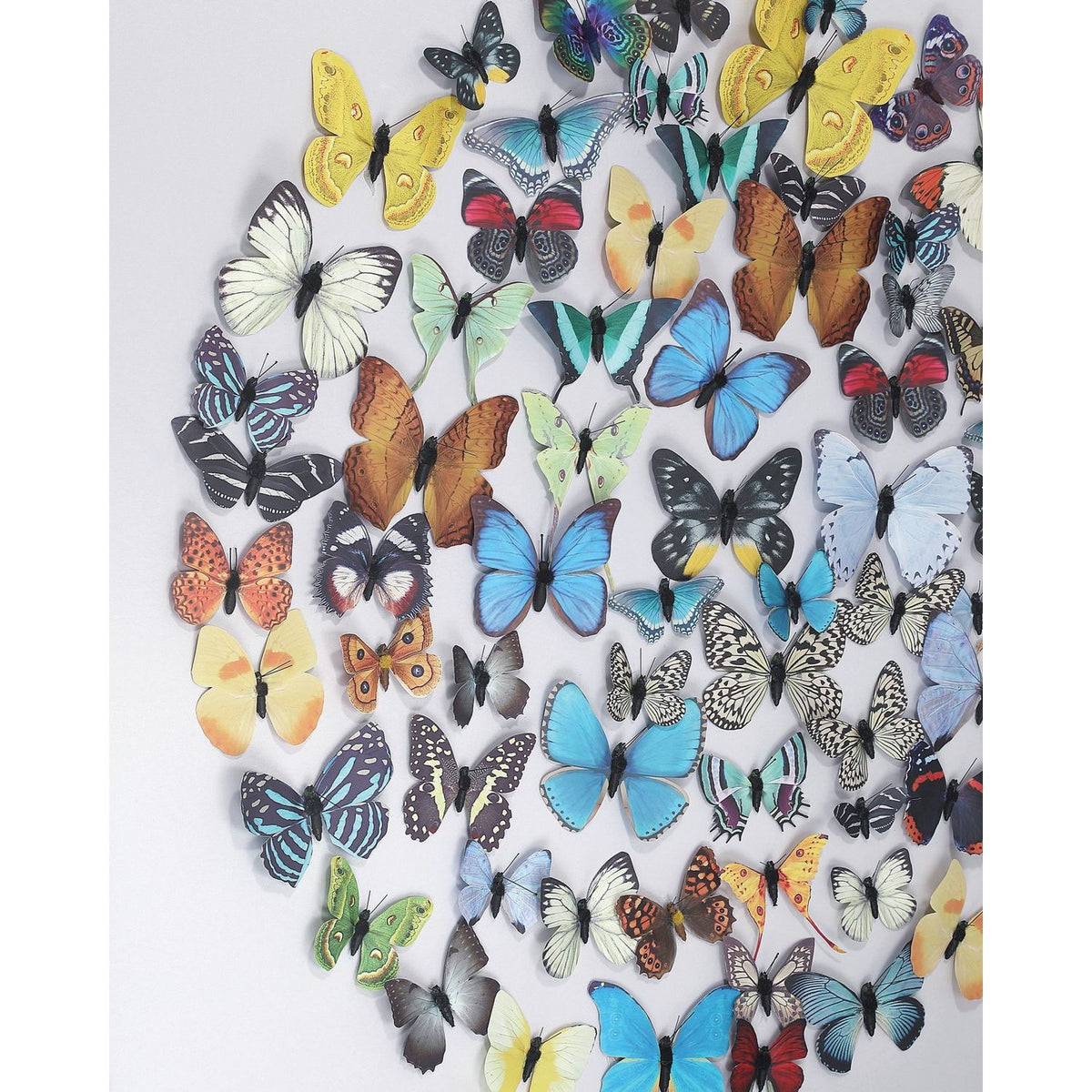 Currey and Company 1200-1172 Chroma Wall Art in Multi-Color
