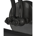 Currey and Company 5400-0003 Parsifal Picture Light in Matte Black