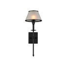 Currey and Company 5500-0065 Ronaldo Outdoor Wall Sconce in Matte Black/Frosted