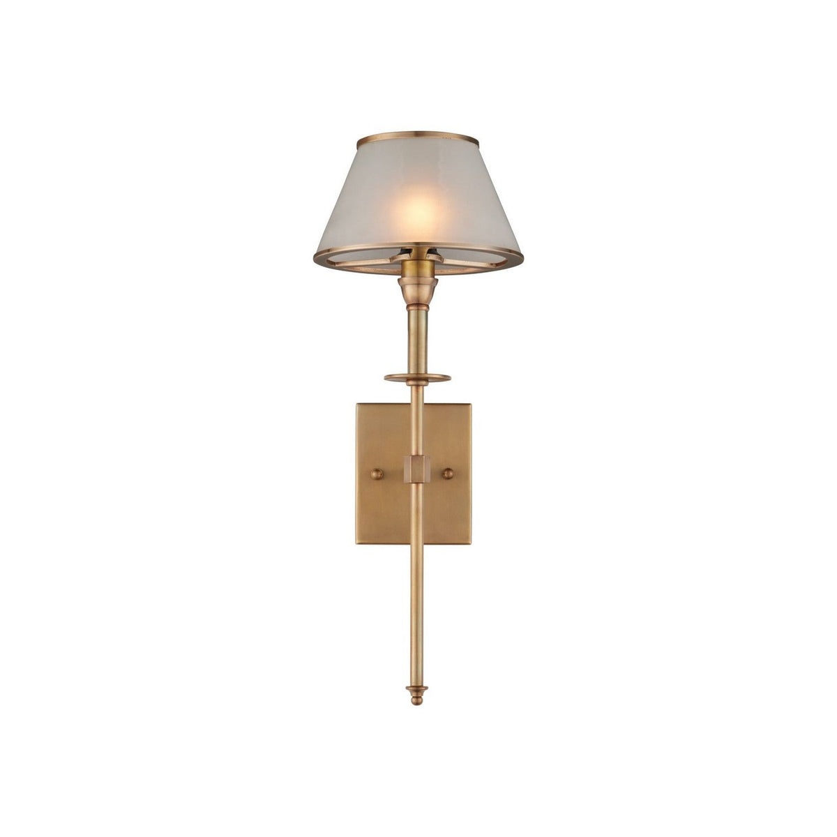 Currey and Company 5500-0066 Ronaldo Outdoor Wall Sconce in Antique Brass/Frosted
