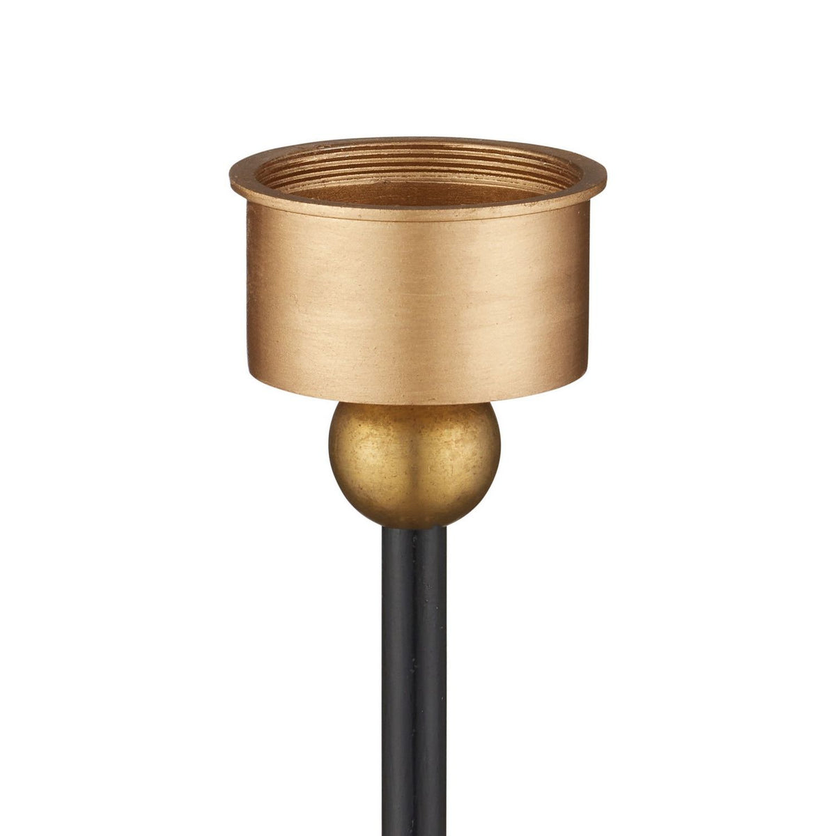 Currey and Company 6700-0036 Daphne Cordless Table Lamp in Black/Gold