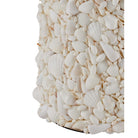 Currey and Company 8000-0189 Turbinella Floor Lamp in Sugar White/Natural