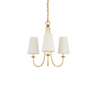Currey and Company 9000-1483 Brayden Chandelier in Antique Gold Leaf
