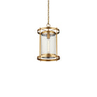 Currey and Company 9000-1493 Pippin Pendant in Antique Brass/Clear
