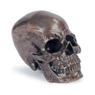 Regina Andrew - Metal Skull Sculpture - 20-1034BZ | The Rug District