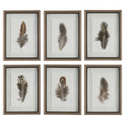 The Uttermost - Birds Of A Feather Framed Prints, S/6 - 41460 | The Rug District