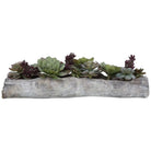 The Uttermost - Charita Succulents - 60174 | The Rug District