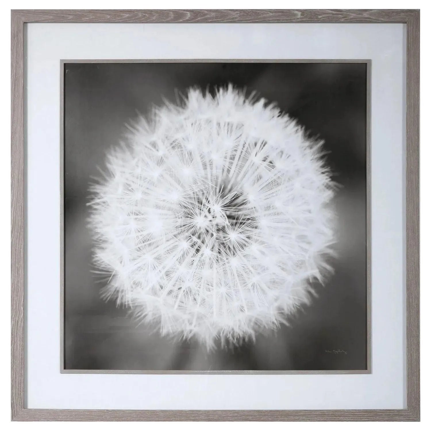 The Uttermost - Dandelion Seedhead Framed Print - 33711 | The Rug District