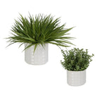 The Uttermost - Edgewood Greenery, Set/2 - 60211 | The Rug District