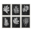 The Uttermost - Foliage Wall Art - 33671 | The Rug District