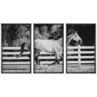The Uttermost - Galloping Forward Wall Art - 32279 | The Rug District