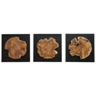 The Uttermost - Kolini Wall Decor - Set of 3 - 04336 | The Rug District