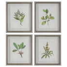The Uttermost - Wildflower Study Framed Prints, S/4 - 41461 | The Rug District