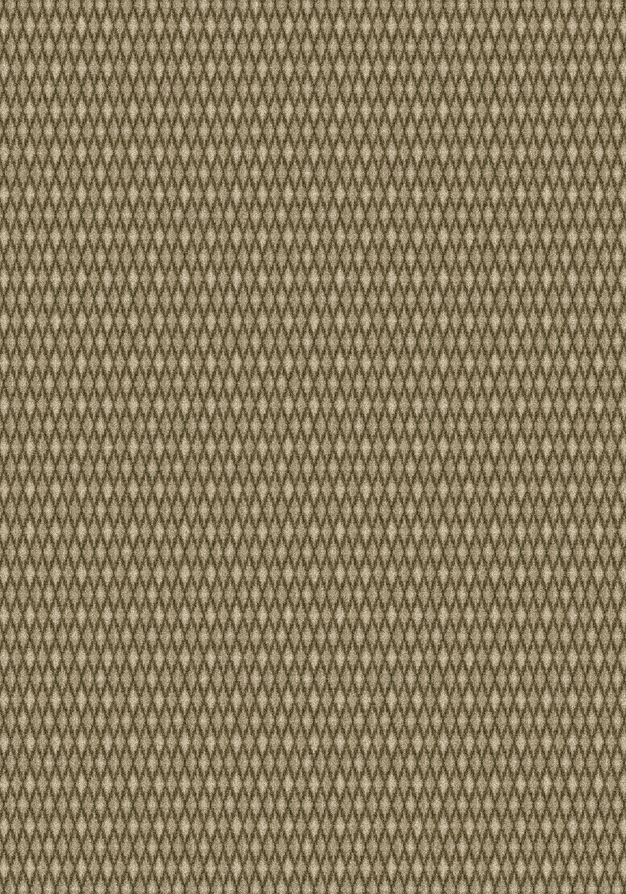 Imagine Landover Grasscloth