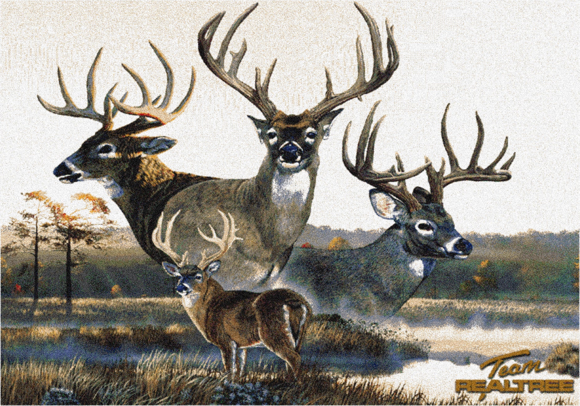 Realtree Monster Buck 6 BROWN